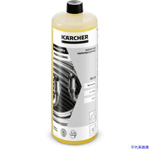 KARCHER  XP[} RM110 1L 6.295932.0(8195231)