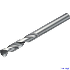 SANDVIK Rh863(720) H10F 863.10635026A1OS(H10F)(8203124)[ʓrς][@l][fO]