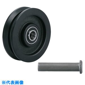 SUGATSUNE (200024795)JC110|75Vdʗpˎ JC11075V(8207514)[ʓrς][@l][fO]