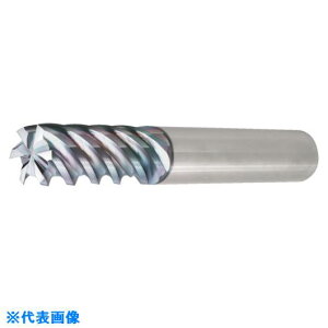 �����Z�� ���\�� ������E�d�グ���H�p�G���h�~�� 6/8PFK �����O 6PFK160650(8250221)[�����ʓr�����ς�][�@�l����][�f�O���]