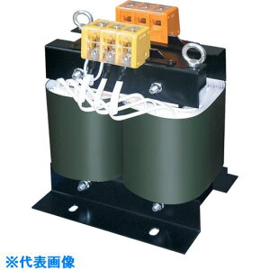 ���X�����[ �d���g�����X(�~����p�^�C�v) 4000VA PC424000(8513711)[�����ʓr�����ς�][�@�l����][�f�O���]