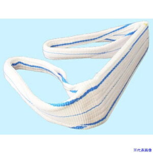 ��TESAC �ω��w��i�p�X�����O(JIS2�����E���[�A�C�`100mm��×2.5m PP2E100X2.5(8518234)[�����ʓr�����ς�][�@�l����][�f�O���]