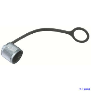 Asada 1/2 Xgbvt^Lbv 1 AP3957(8520922)[ʓrς][@l][fO]