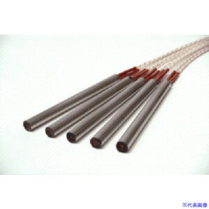  J[gbWq[^[ e100W HLC1101(8536920)[ʓrς][@l][fO]