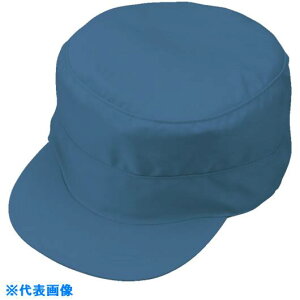 ���R�[�R�X �ۃe���^�X�qP-4494 6 E�u���[ LL P44946LL(8537847)[�����ʓr�����ς�][�@�l����][�f�O���]