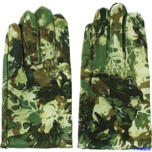 xmO[u Y{v(Ȃ^Cv) PH|22  L 5116(8555074)