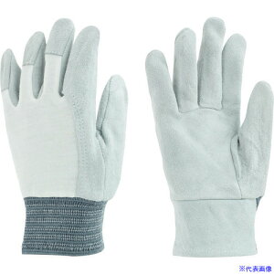 g v 105|XbX (12o) 105X(8570577)