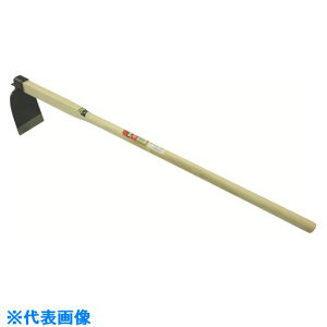  JL t 070078(8681943)[ʓrς][@l][O]