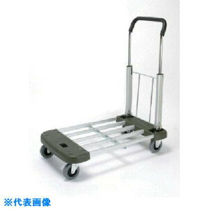 ��NAIKI ��� �ύڗ�100kg KZA100DX(8685294)[�����ʓr�����ς�][�@�l����][�f�O���]