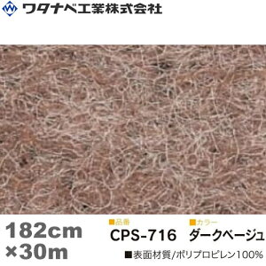 ^ixH NA[p`XyV J[ybgiCPS^Cvj_[Nx[W h WTCY 182cm×30m 1