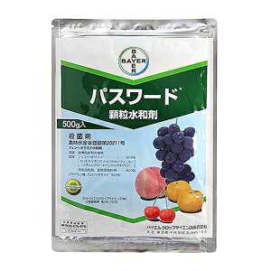 oCG pX[ha 500g