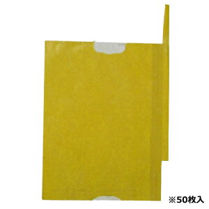 F{X ʎ܂悩EfR| K-19 50}CC