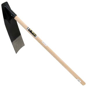 �������Y�� ��g �� ��������L �S