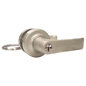  AGENT(单쏊)֗po[nh LP-100