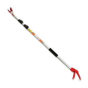 LЊݖ{_H J}L ̂3i3M NO.1430 [ʓrς]