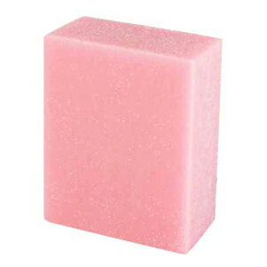 ijH ij SAKU ETrS PA-2010