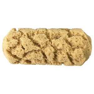 ���D��Y�� �X�|���W�C�ȃ��[���[���M�����[ 7�C���` RF7