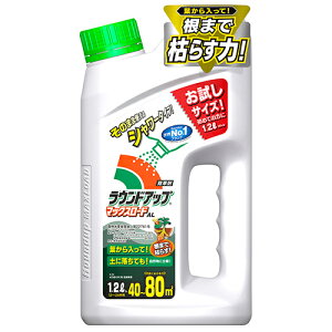 Yw  EhAbv}bNX[h AL 1.2L