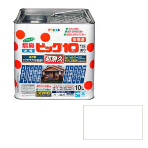 ���A�T�q�y�� �����r�b�O10���p�r 10L 216