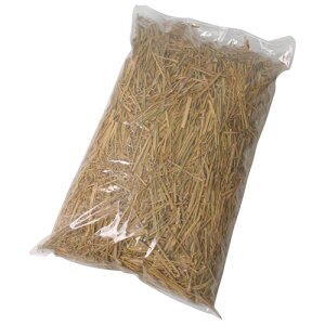 ���^�J�V���[ �^�J�V���[ �~���50L�w�b�_�[�i�V SW50