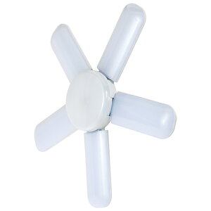 �������Y�� SK11 LED���[�t���C�g2 60W SLL-60W-ACN