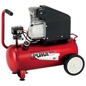 Y SK11 GARvbTSR-251 SR-B30LPT-01 [@l][ʓrς]