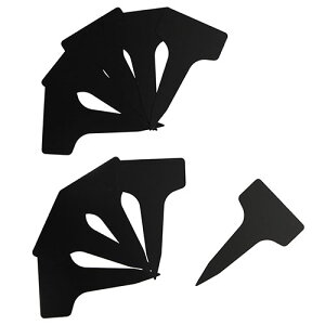 Y ZteB[3 K[fxY^ 10 _C