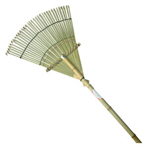 cH |P܂ 55027 [ʓrς]