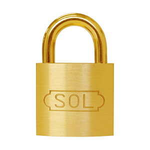  SOL V_[30mm(pbN) 2500BP30