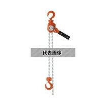 楽天市場】オーエッチレバー 0．25の通販
