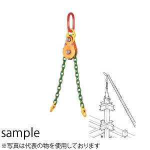 C[ONv `F[oT[ EQF-4 őgp׏d(t)F4(2t×2)