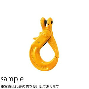 C[ONv b`bNtbN LHE-10 őgp׏d(t)F2