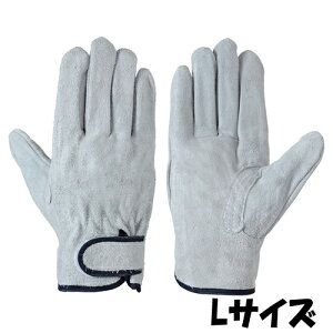 V  CS-717 VO[u TCYFL v 10o