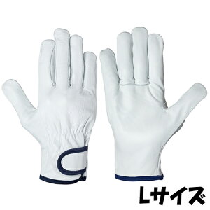 V  CG-723 VO[u TCYFL {v 10o