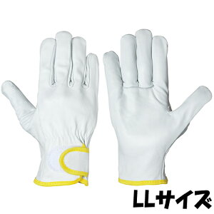 [J[iF10{ȍ~@V  CG-723 VO[u TCYFLL {v 10o