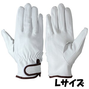 V  PL-717 VO[u TCYFL ؊v 10o