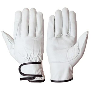 V  AZG-202 VO[u {v 10o