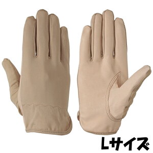 V  PL-160 VO[u TCYFL ؊v 10o