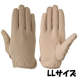 V  PL-160 VO[u TCYFLL ؊v 10o