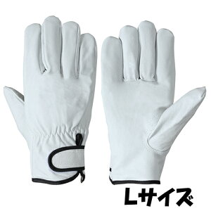 V  PL-719 VO[u TCYFL ؊v 10o