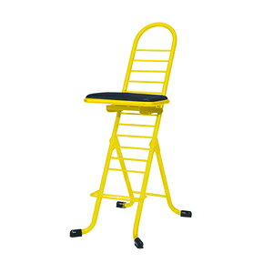 lZCRE@v[N`FA@XCO PW-600S CG[iʐFj [󒍐Yi]