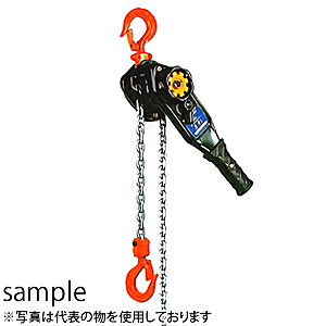 作業用品 チェーンブロック レバーホイストの人気商品 通販 価格比較 価格 Com