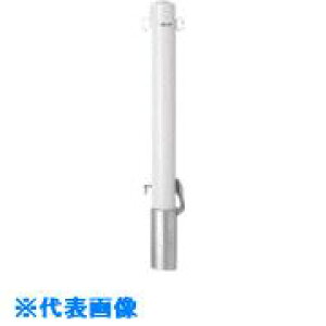 h[}N S|Xg^Cvt^t (A) FP210SK(1008526)[ʓrς][@lEƏ][O]