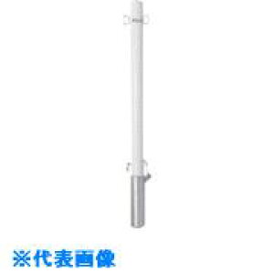 h[}N S|Xg^Cvt^t (A) FP26SK(1008556)[ʓrς][@lEƏ][O]