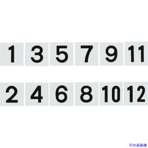 Ώ\ ݎD(ʘAԃZbg) 1`12 6g KS-BD(1) 100×100mm 228021(1063110)