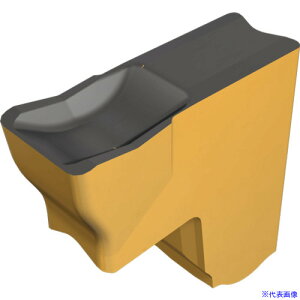 ���C�X�J�� �^���O�O���b�v �`�b�v TAG N�|C/W/M IC5400 TAGN3C(IC5400)(1105587)×10[�����ʓr�����ς�][�@�l����][�f�O���]