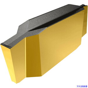 ���C�X�J�� �J�b�g�O���b�v �`�b�v GIP IC20 GIP1.570.15(IC20)(1108620)×10[�����ʓr�����ς�][�@�l����][�f�O���]