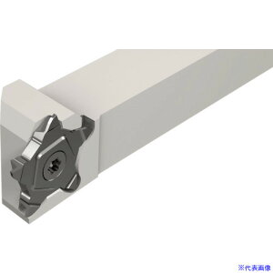 CXJ hD[Obv ˂؂EaHpz_[ DGTR/L[B|D|SH DGTR10B1.4D16SH(1118689)[ʓrς][@l][fO]