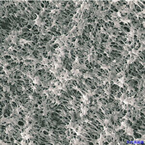 SIBATA utB^[ H020A047A 100 064410047020(1124614)[ʓrς][@lEƏ][fO]