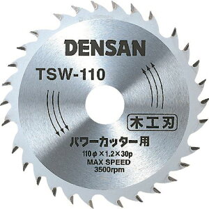 DENSAN ۃmR`bv\[؍Hp TSW110(1125813)[ʓrς][@l][fO]
